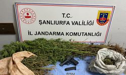 Şanlıurfa Jandarmasından Uyuşturucuya Geçit Yok: 6 İlçede Operasyon, 8 Gözaltı