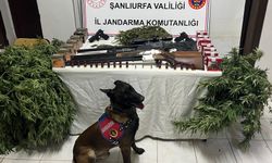 Harran’da Uyuşturucu Operasyonu: 3 Gözaltı
