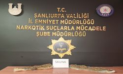 Şanlıurfa’da Uyuşturucu Operasyonu: 2 Kilo 300 Gram Skunk Ele Geçirildi