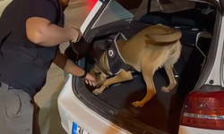 Şanlıurfa’da Skunk Baskını: 3.45 Kilo Ele Geçirildi, Sürücü Tutuklandı!
