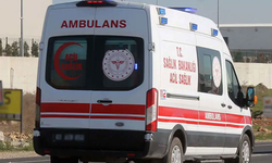 Viranşehir-Siverek Karayolunda Otomobil Devrildi: 2 Kişi Yaralandı