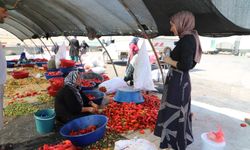 Mevsimlik İşçilere Sağlık Molası