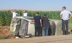 Viranşehir’de Trafik Kazası: 1 Yaralı