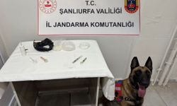 Viranşehir ve Suruç’ta Narkotik Baskını: Metamfetamin ve Esrara Büyük Darbe!