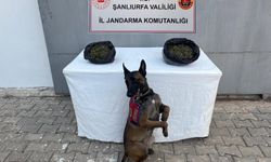 Şanlıurfa’da 4 İlçede Eş Zamanlı Uyuşturucu ve Silah Operasyonu: Zehir Tacirlerine Darbe