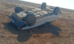 Harran’da Otomobil Şarampole Devrildi, 1 Yaralı