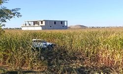 Akçakale’de Otomobil Mısır Tarlasın Uçtu