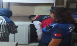 Şanlıurfa’da utanç görüntü! Kertenkele bile var…