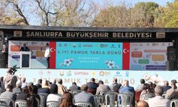 Şanlıurfa’da 3. İyi Pamuk Tarla Günü Etkinliği Düzenlendi