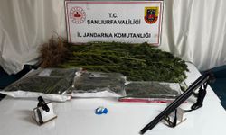 Şanlıurfa’da Narkotik Operasyonu: Uyuşturucu ve Silahlar Ele Geçirildi
