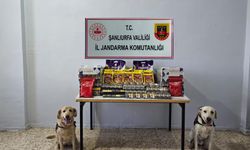 Viranşehir'de Kaçakçılığa Jandarma Darbesi: Binlerce Kaçak Ürün Ele Geçirildi!