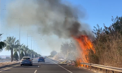 Alevler Metrelerce Yükseldi: Şanlıurfa-Mardin Karayolunda Sürücüler Panik İçinde!