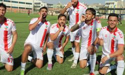 Viranşehir Belediyespor Seyircisiz Maçta 3 Puan Aldı