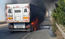 Şanlıurfa'da seyir halindeki kamyon alev aldı