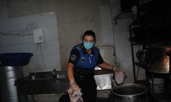 Şanlıurfa'da 1 ton kokmuş ve bozuk et ele geçirdi