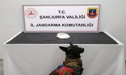 Şanlıurfa’da 500 Gram Metamfetamin maddesi ele geçirildi