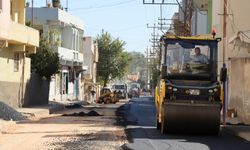 Büyükşehir’den Ceylanpınar’da Karayolları Standartlarında Asfalt