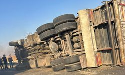 Akçakale Yolu'nda Pamuk Çekirdeği Yüklü Kamyon Devrildi