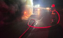 Şanlıurfa-Mardin Otoyolu’nda Yangın Paniği: Salça Yüklü Tır Alev Aldı