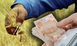 Şanlıurfalı Çiftçilere Müjde! Destek Ödemeleri Bugün Hesaplarda