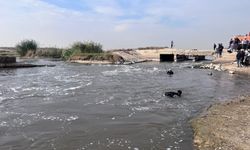 Şanlıurfa sınırından acı haber geldi