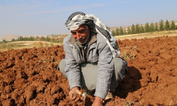 Şanlıurfa'da ÇKS Başvuruları İçin Son Gün: Başvurunuzu Ertelemeyin!