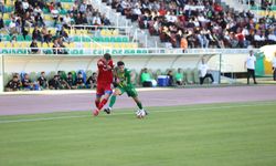 Şanlıurfaspor evinde dirildi
