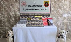 Şanlıurfa'da kaçakçılara darbe! Binlerce pakete el konuldu