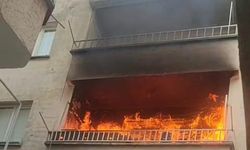 Birecik'te korkutan yangın