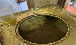 Şanlıurfa'da Ton Kokuşmuş ve Küflü Zeytin Ele Geçirildi