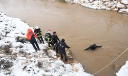 Harran'da Baba İle 3 Çocuğun Arama Kurtarma Çalışması Devam Ediyor