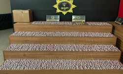 Şanlıurfa’da Zehir Tacirlerine Operasyon: 3 Gözaltı