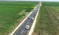 Şanlıurfa Kırsal Yollar Tarihi Yatırımla Yenilendi