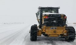 Viranşehir Belediyesi Karla Mücadelede Seferberlik İlan Etti