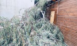 Birecik’te Kar Yağışı Hayatı Olumsuz Etkiledi