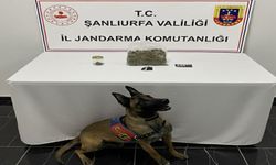 Şanlıurfa'da Uyuşturucu Operasyonu