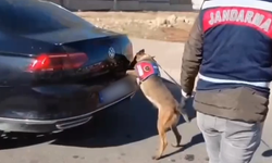 Hilvan’da Narkotik Operasyonu: 25 Kg Skunk Ele Geçirildi!