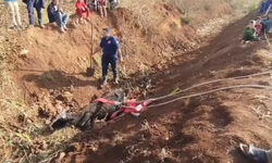 Şanlıurfa'da Çamura Saplanan İnek İtfaiye Ekiplerince Kurtarıldı