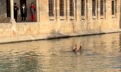 Balıklıgöl'de bir kişi caminin üstünden göle atladı