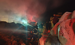 Eyyübiye’de Büyükbaş Çiftliğinde Yangın