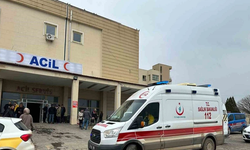 Siverek'te İki Farkı Araç Çarptığı Yaya Hayatını Kaybetti