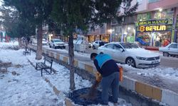 Soğuk Hava Koşullarında Can Dostları Belediye unutmadı