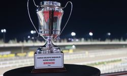 Harran Belediyesi Koşusu'nu Pirate Of The Sea Kazandı