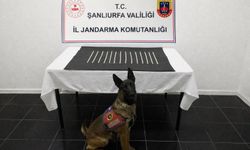 Harran’da Narkotik Operasyonu: 664 Captagon Ele Geçirildi