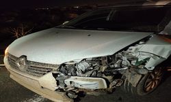 Viranşehir’de Yaban Domuzu Kazası: Otomobil Çarptı, Domuz Telef Oldu