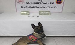 Siverek’te Jandarmadan Uyuşturucuya Sert Darbe