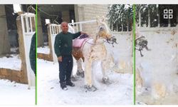 Şanlıurfa'da Kar, Halfeti’de Nasıl Sanata Dönüştü?