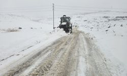 Şanlıurfa’da Kaç Mahallede Elektrik Yok, Kaç Yol Kapalı?