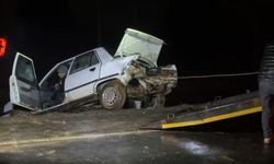 Viranşehir Yolunda Feci Kaza: 2 Yaralı