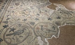 Şanlıurfa’da 1500 yıllık bir hazine daha: Yukarı Göklü Köyü Mozaiği